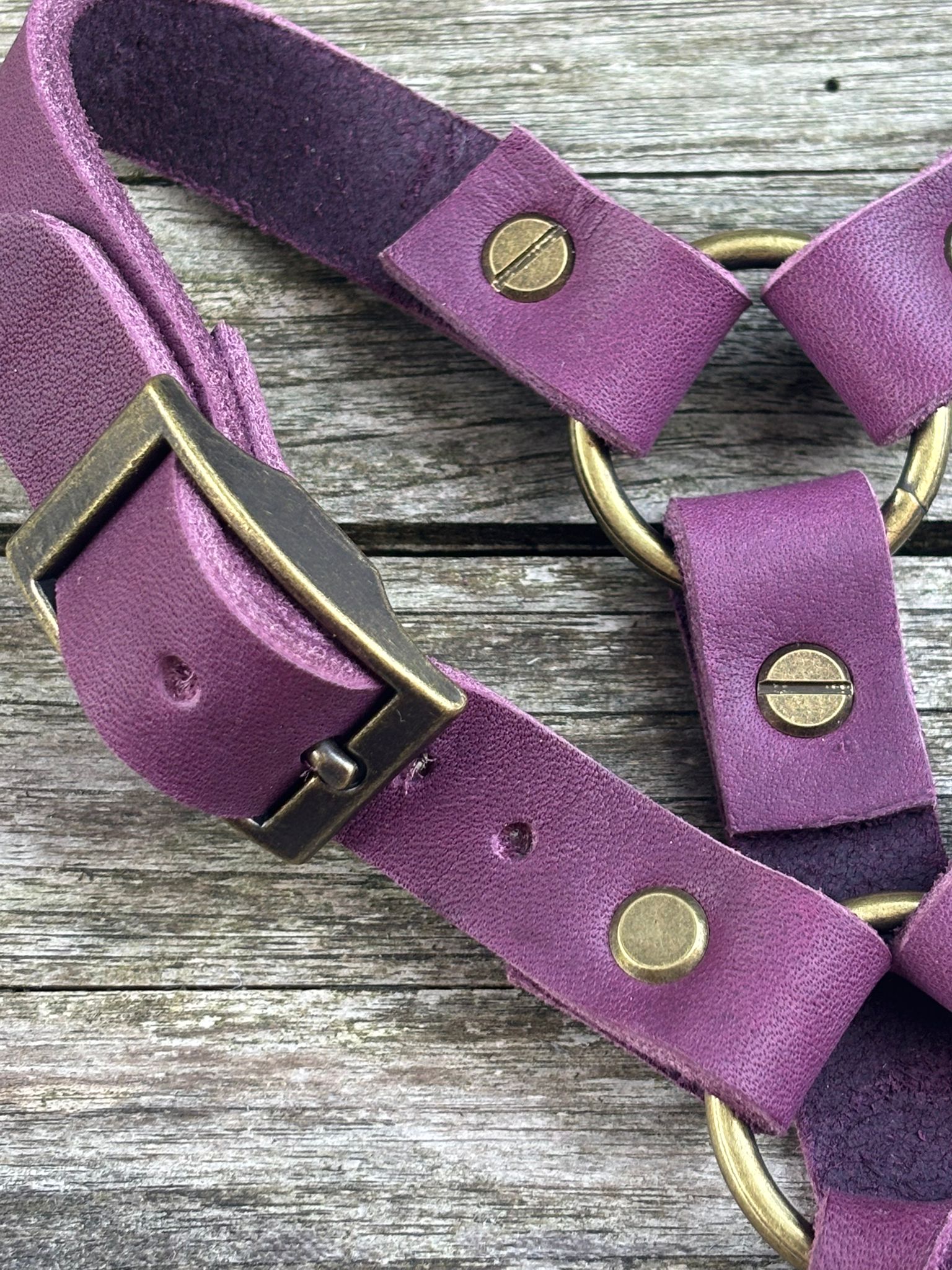 Lilypatch Berry Special thumbnail